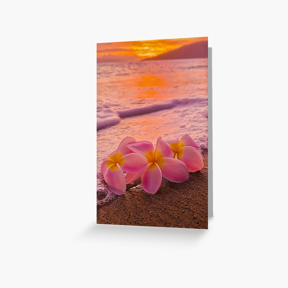 papergc,500x,w,f8f8f8-pad,