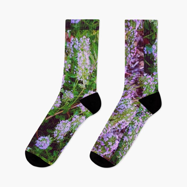 Item preview, Purple Flowering Thyme Photo designed and sold by EdenLiving.