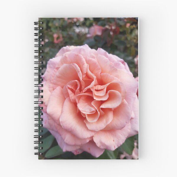 Item preview, Rose designed and sold by Pradeepvithra.
