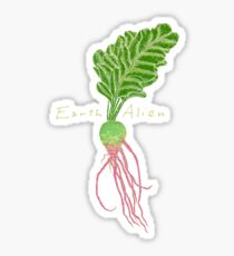 Earth Alien Watermelon Radish Sticker