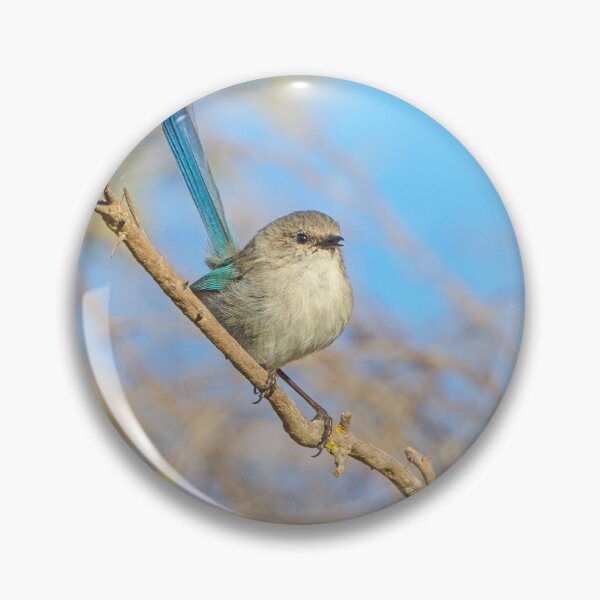 Item preview, Macho Splendid Fairywren designed and sold by cschester4.