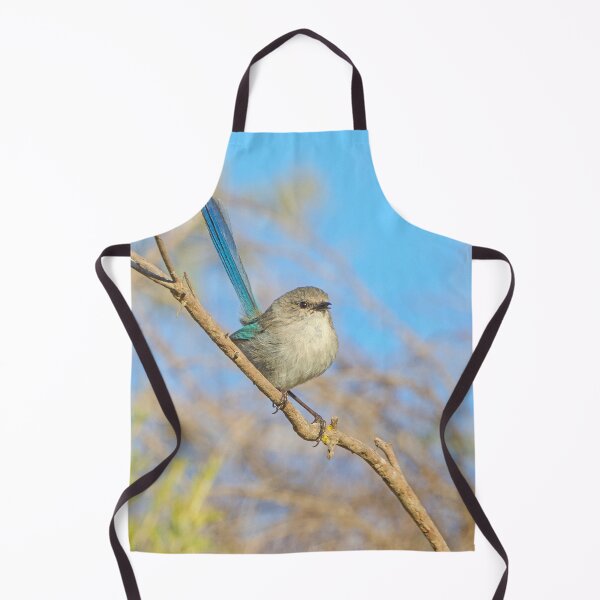 Aperçu de l'œuvre Mâle Splendid Fairywren créée et vendue par cschester4.