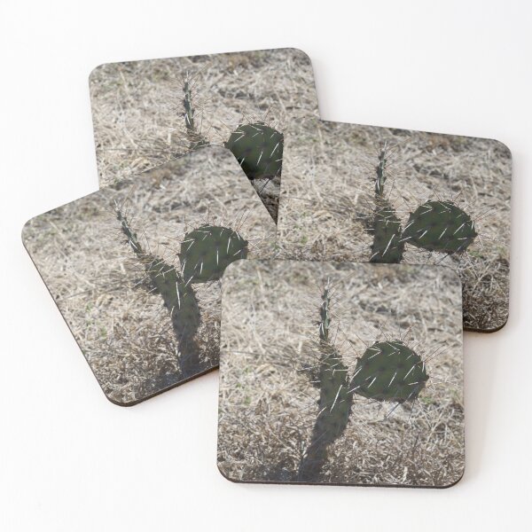 Item preview, Desert Cactus designed and sold by YOYOCollection.
