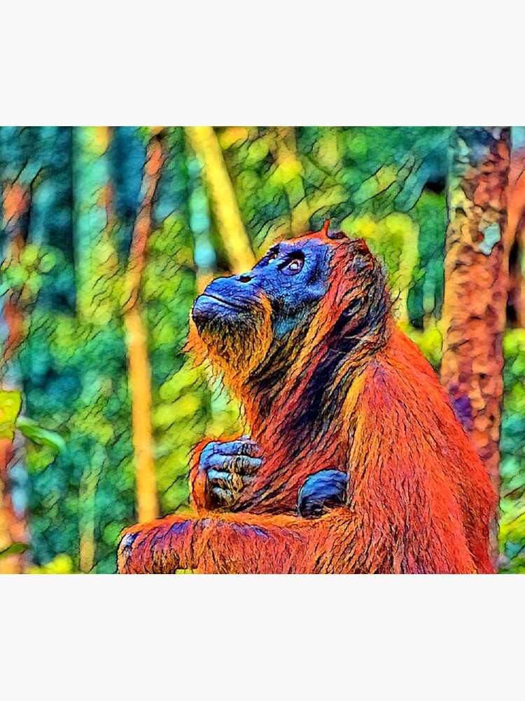 A Mother's Hope by OrangutanDad