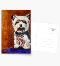 Yorkie Postcards