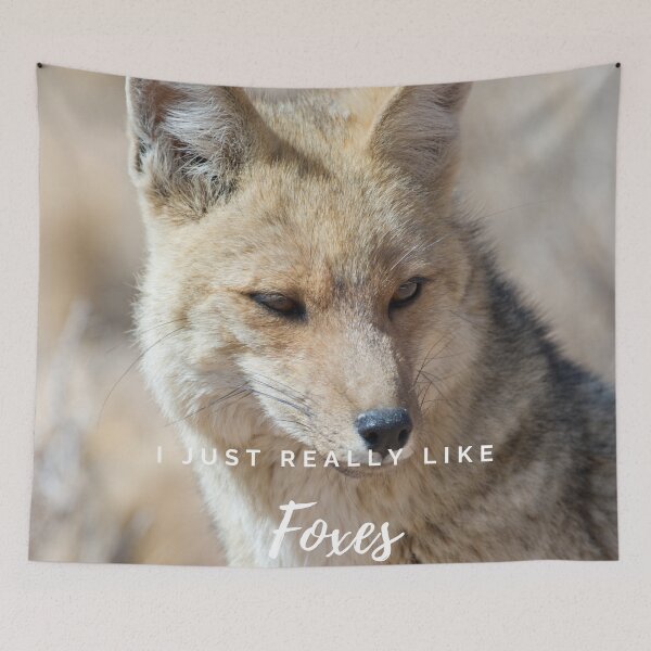 Item preview, I just really like foxes light designed and sold by kyds.