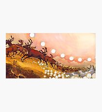 yukon caribou Photographic Print