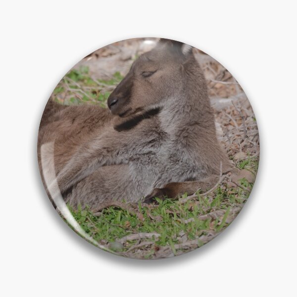 Item preview, Australian kangaroo lying down designed and sold by hendrikspix.