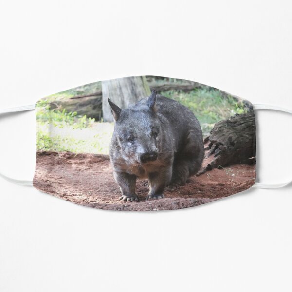 Southern Hairy-Nosed Wombat Flat Mask