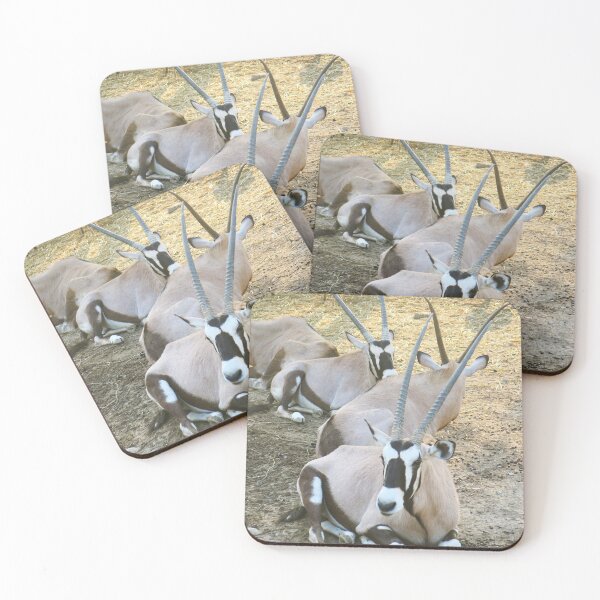 Item preview, Wildlife Photography designed and sold by Belcibol.