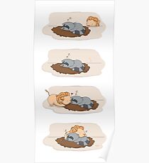 Póster Hora de la siesta