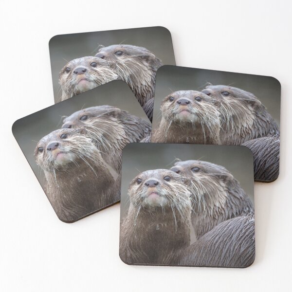 Item preview, Asian small-clawed otters designed and sold by Steve Liptrot Photography.