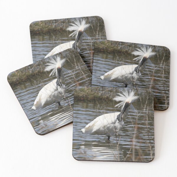 Item preview, Royal Spoonbill designed and sold by NickGraham.