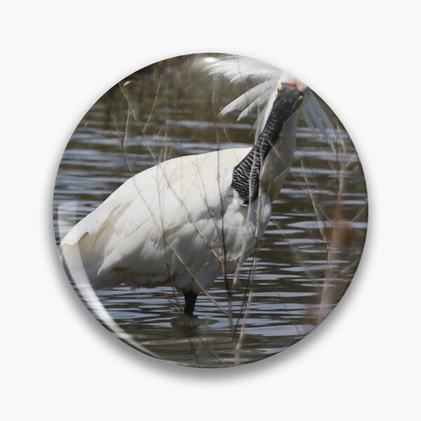 Item preview, Royal Spoonbill designed and sold by NickGraham.