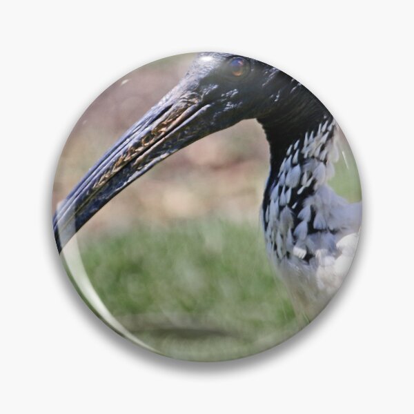 Item preview, Ibis designed and sold by NickGraham.