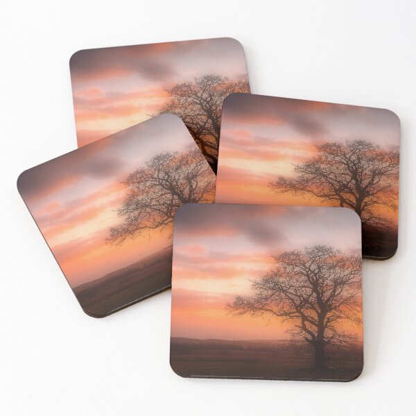 Item preview, Soft and dusky designed and sold by JEZ22.