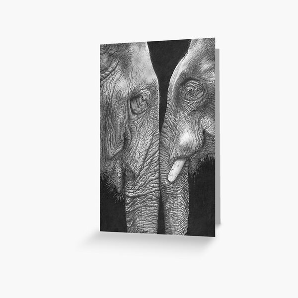 Carte De Vœux The Meeting Dessin Au Crayon Realiste D Elephant D Afrique Par Mightyfineart Redbubble