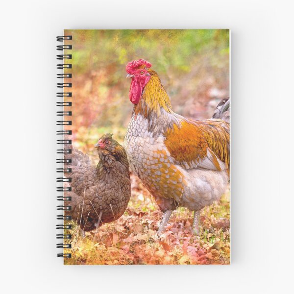 Item preview, Chicken and Rooster by Christine Chester designed and sold by cschester4.