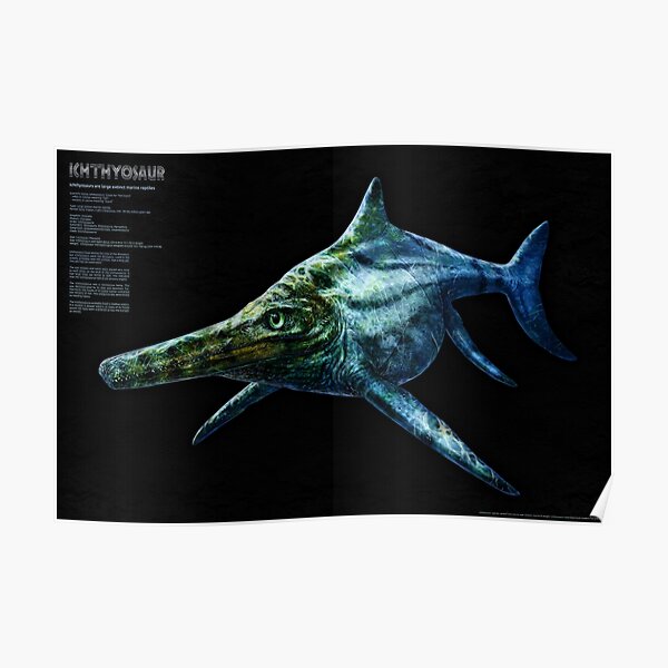 Ichthyosaur - Large extinct marine reptile Poster