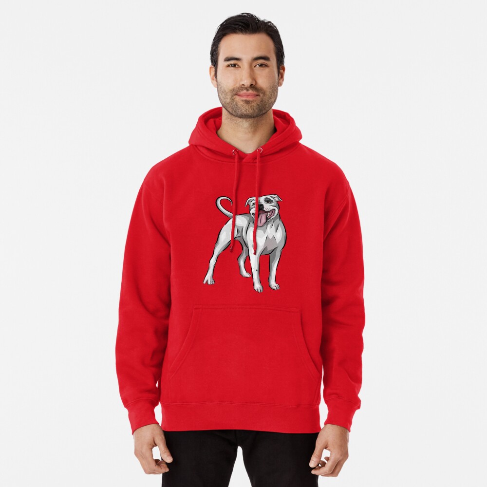 Fashion forever 21 pitbull hoodie