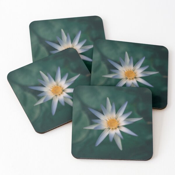 Item preview, Waterlily designed and sold by Abbie Heuer.