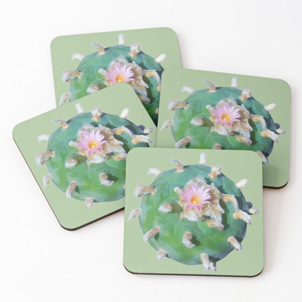 Item preview, Lophophora "Peyote" Williamsii nr 2 designed and sold by Fruitsome.