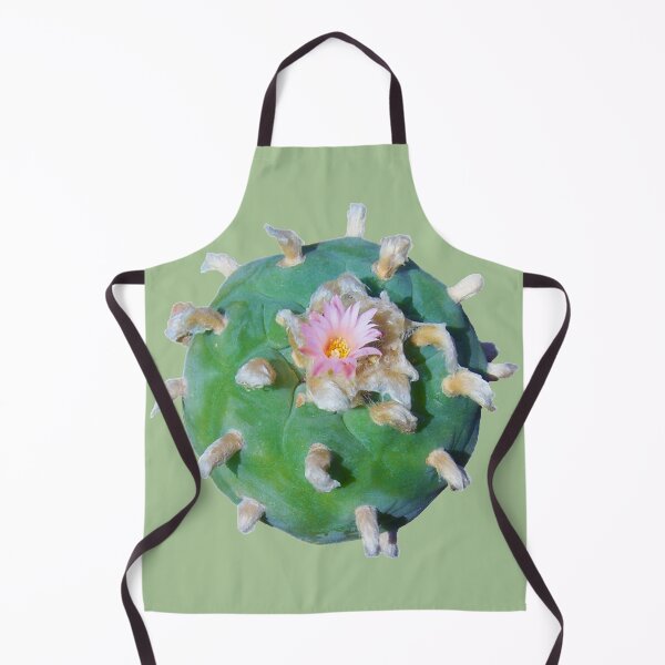 Item preview, Lophophora "Peyote" Williamsii nr 2 designed and sold by Fruitsome.
