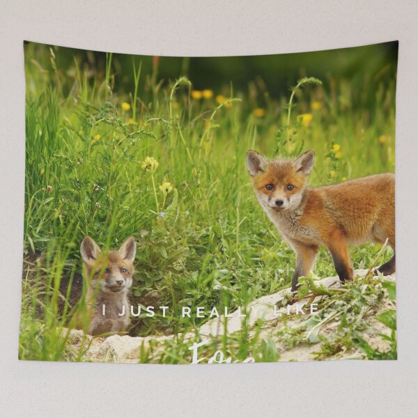 Item preview, I just really like foxes collection 14 designed and sold by kyds.
