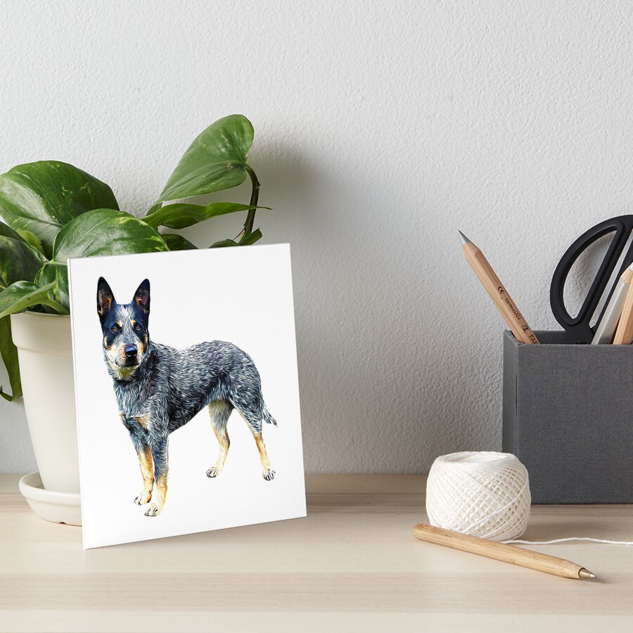 Blue Heeler Australian Cattle Dog  Art Print for Sale by