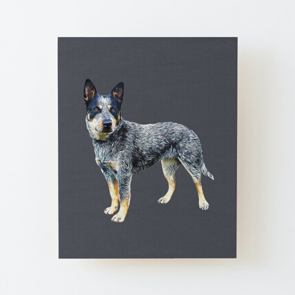 Australian Cattle Dog Blue Heeler Puppy Mounted Print for Sale by Elarex