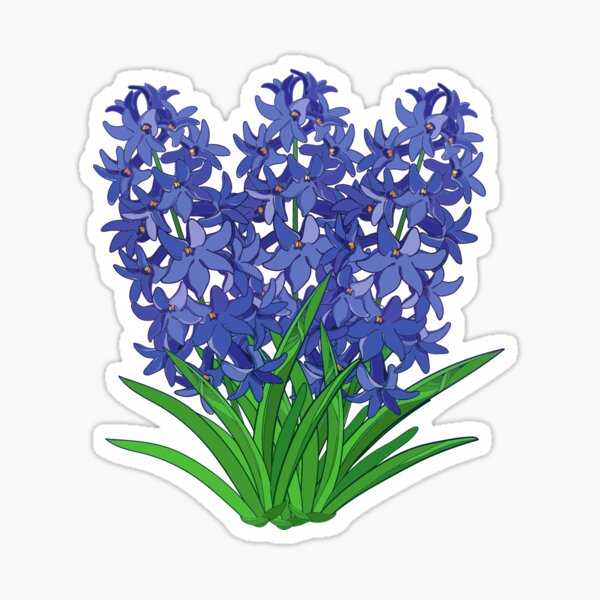 Discover more than 146 purple hyacinth anime super hot - ceg.edu.vn