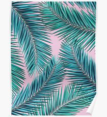 palm tree Poster