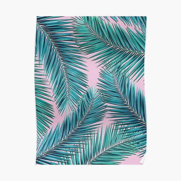 palm tree Poster