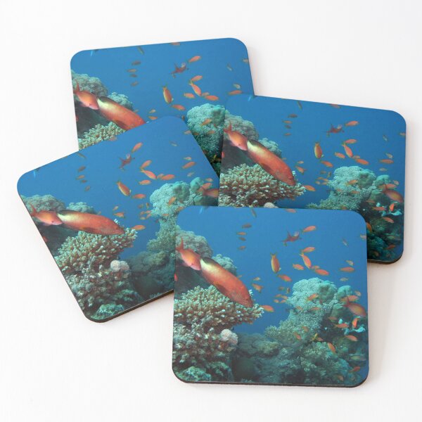 Item preview, marine and aquatic life designed and sold by likbatonboot.