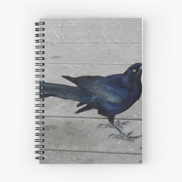 Item preview, Breakfast With Blue Grackles designed and sold by Navigator.