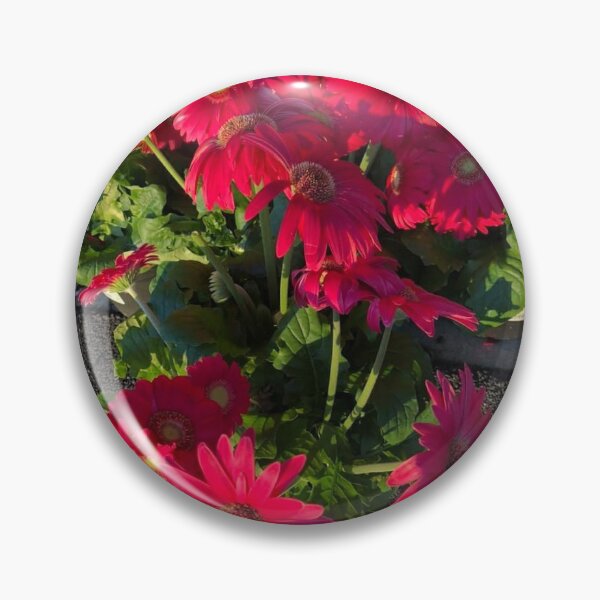 Item preview, Red Gerber daisy flowers designed and sold by FlowersAndMore.