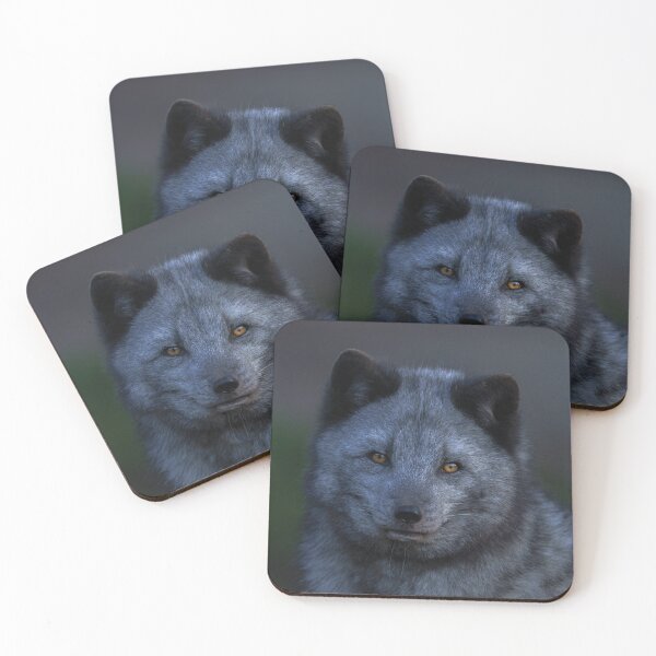 Item preview, Arctic Fox Looking You designed and sold by rawshutterbug.