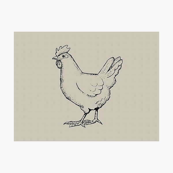 Free Vector | Chicken in doodle simple style on white background