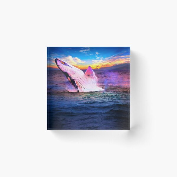 Item preview, Giant Humpback Whale Breaching Near Puerto Lopez designed and sold by alabca.