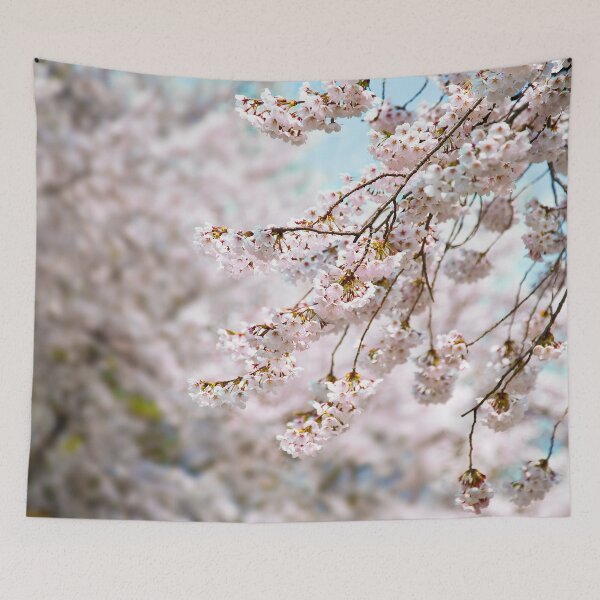 Item preview, Cherry Blossoms in the Spring Time designed and sold by raisbeckfoto.