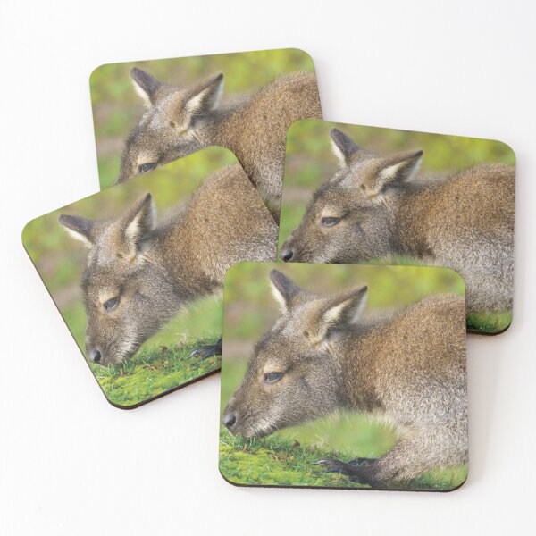 Item preview, Bennett's Wallaby designed and sold by rawshutterbug.