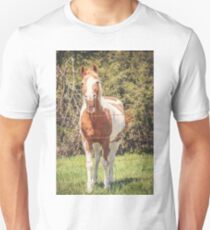 Funny Humor I Unisex T-Shirt