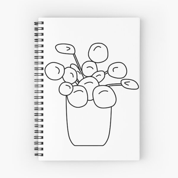 Item preview, Pannenkoekplant Pilea Peperomioides Lines designed and sold by reujken.