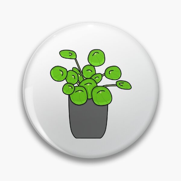 Item preview, Pannenkoekplant Pilea Peperomioides Color designed and sold by reujken.