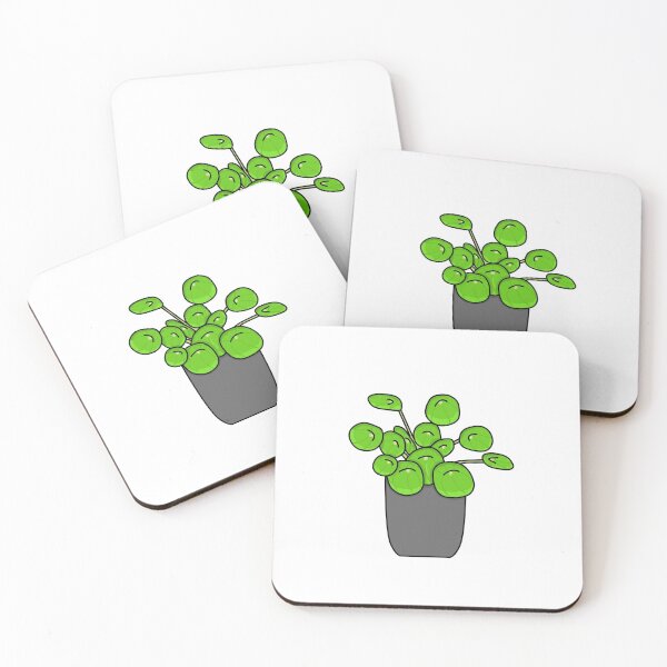 Item preview, Pannenkoekplant Pilea Peperomioides Color designed and sold by reujken.