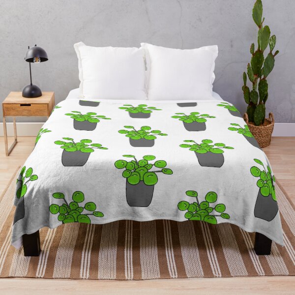 Item preview, Pannenkoekplant Pilea Peperomioides Color designed and sold by reujken.