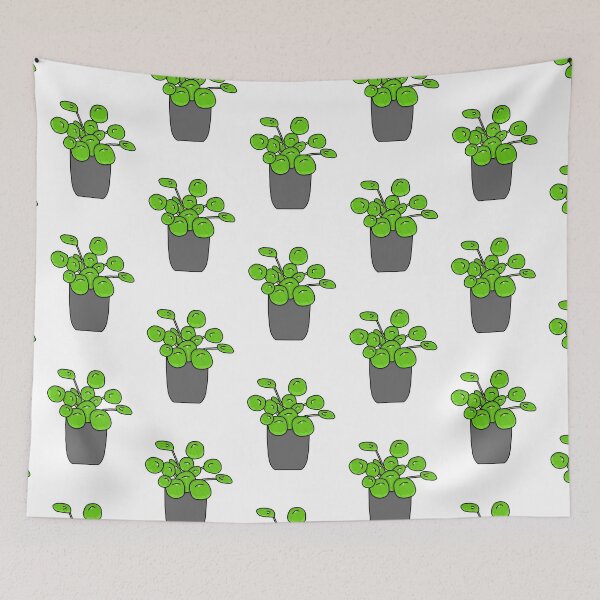 Item preview, Pannenkoekplant Pilea Peperomioides Color designed and sold by reujken.