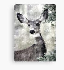 Oh Deer! Canvas Print