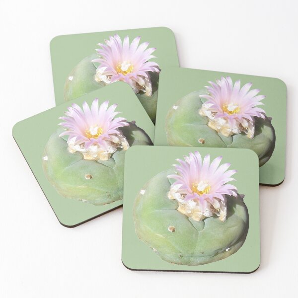 Item preview, Cacti Lophophora "Peyote" Williamsii nr 3 designed and sold by Fruitsome.
