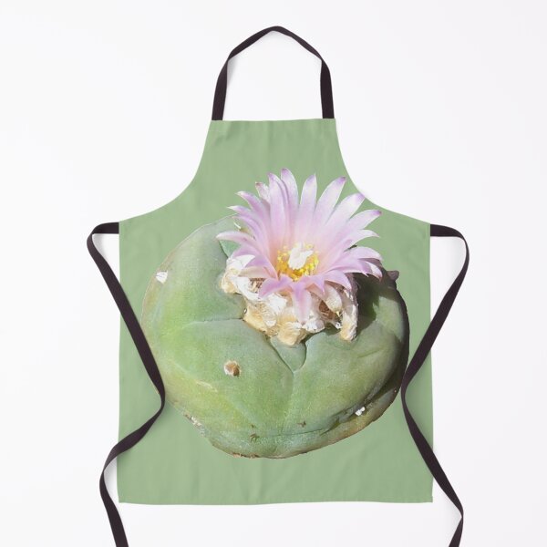 Item preview, Cacti Lophophora "Peyote" Williamsii nr 3 designed and sold by Fruitsome.